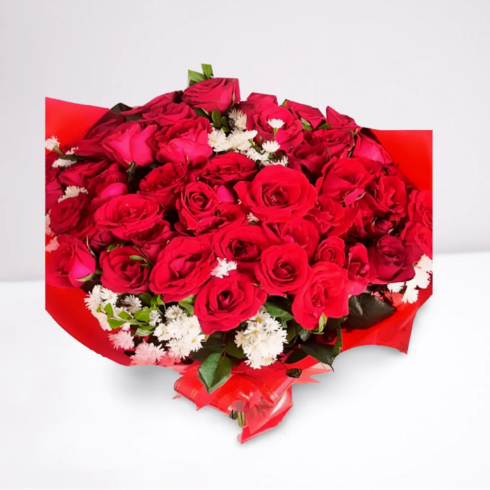 Buquê 50 rosas vermelhas naturais embaladas em celofane para presente em Recife